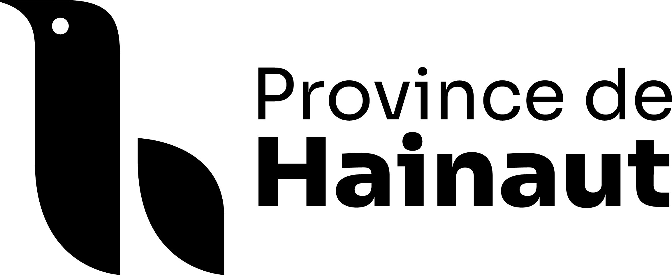 Logo Province de Hainaut horizontal noir_transparent