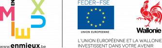 logo_FEDER_FSE+WAL2